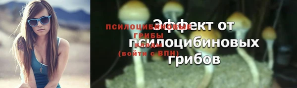 2c-b Осинники