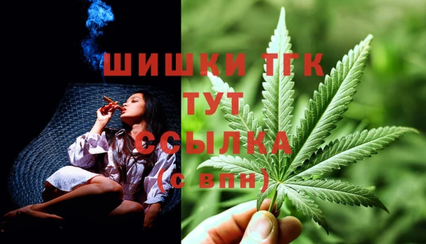 МДПВ Осташков