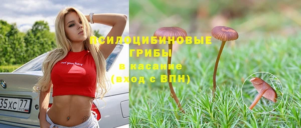 2c-b Осинники