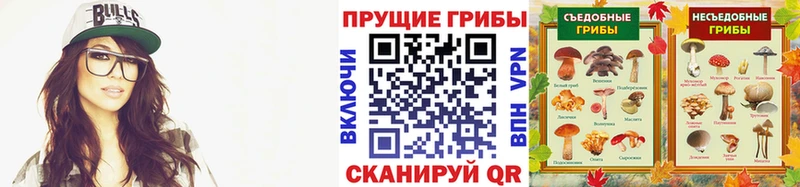 Галлюциногенные грибы прущие грибы  наркота  Печора 